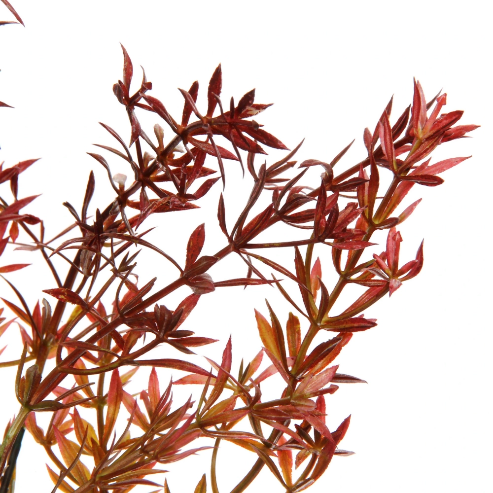 Искусственные цветы «Волшебство трав» 38см Аспарагус красный