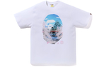 A Bathing Ape Sakura Photo Ape Head Ii Tee черный