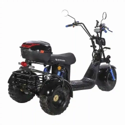 Электроскутер SKYBOARD CITYCOCO TRIKE BR40-3000 PRO FAST OFF-ROAD