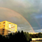 Грифон