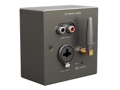 CVGAUDIO PW/EX-IN/BL универсальная настенная панель для удаленного подключения балансного микрофона MIC IN