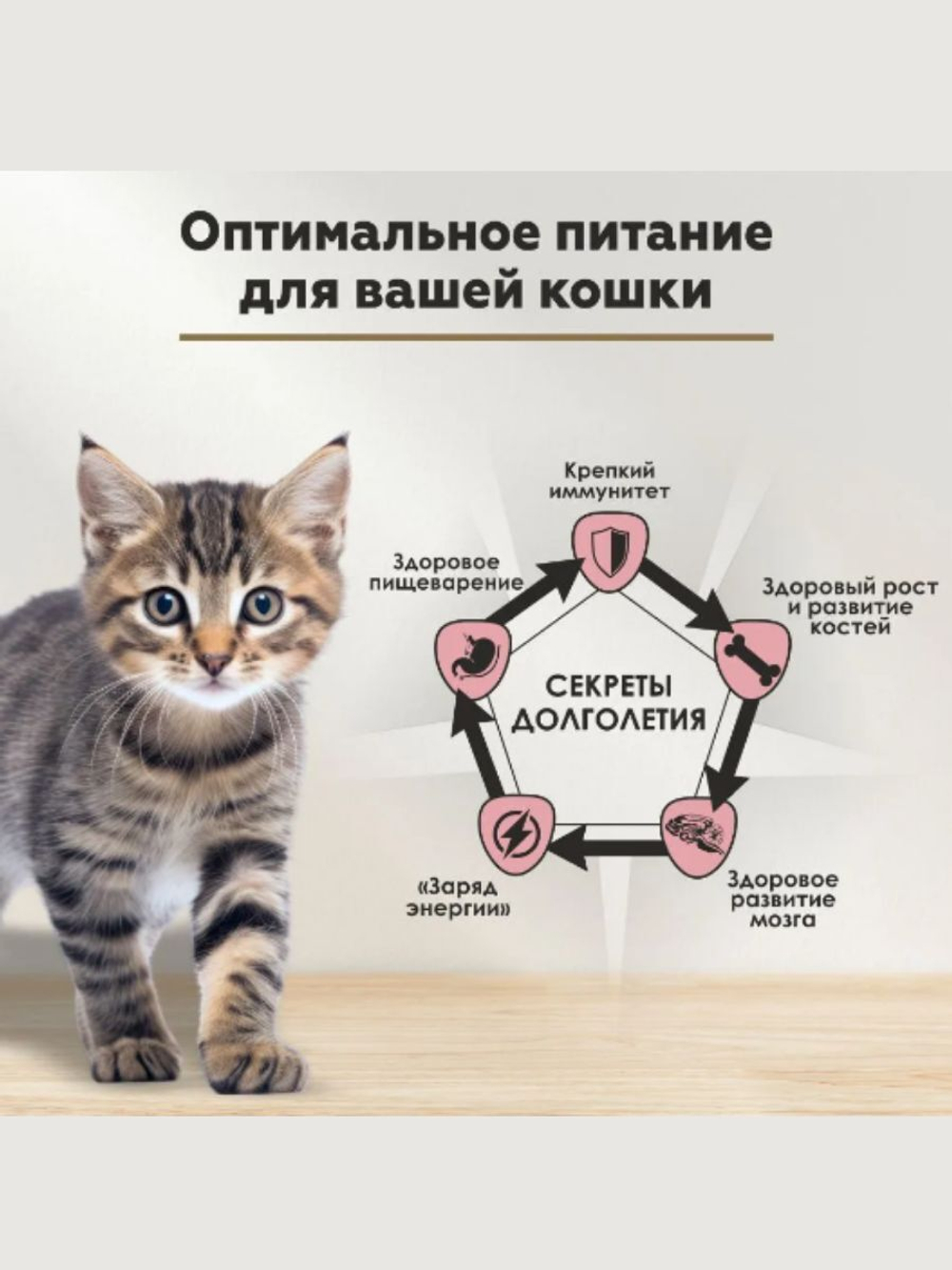 Влажный корм Secret Life Force (Секрет) для котят 0,085кг индейка в соусе пауч для котят. В комплекте 24 шт
