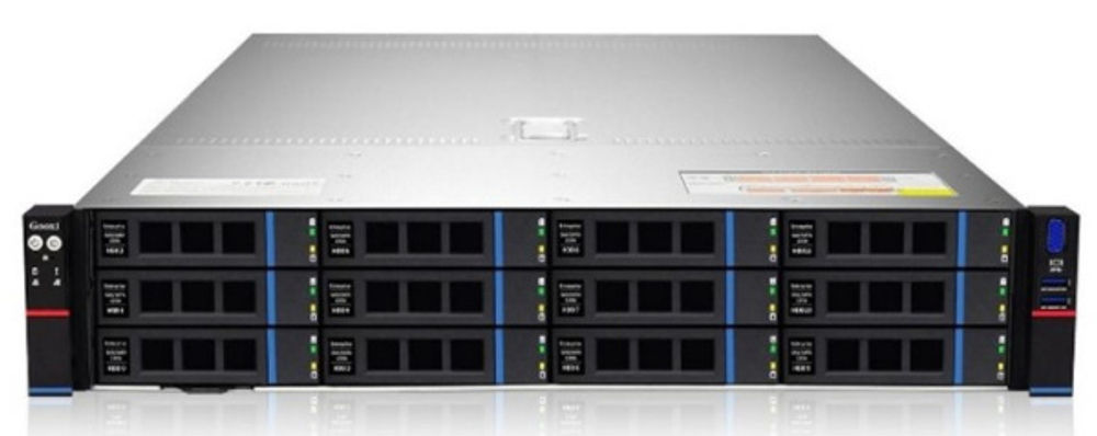 Серверная платформа 2U Gooxi SL201-D12R-G3