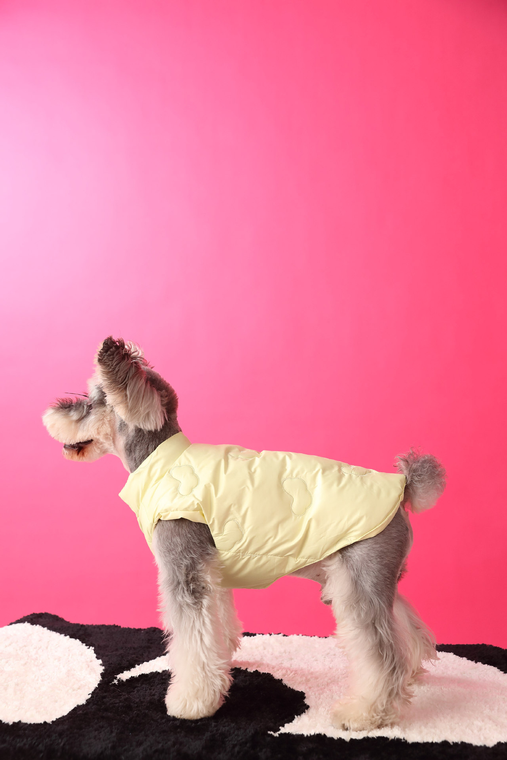 Жилетка для собак Облака