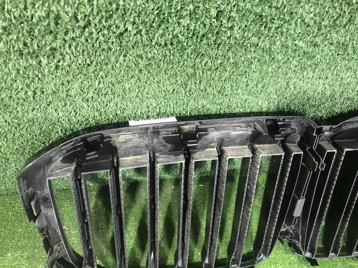 Решетка радиатора BMW X7 G07 (2019-2022)