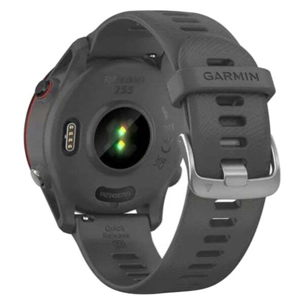 Часы Garmin FORERUNNER 255 Slate Grey, 010-02641-10