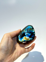 Срез Лабрадора S