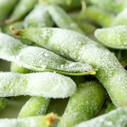 Зелёная Ультраскороспелая Овощная Соя - Эдамамэ