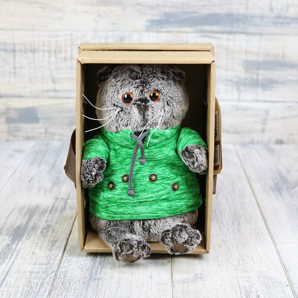 Кот Басик в зеленой толстовке с карманом-кенгуру