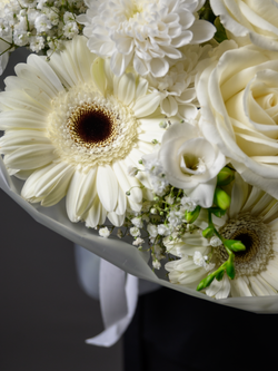 Символ чистоты *