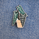 Значок Алоказия