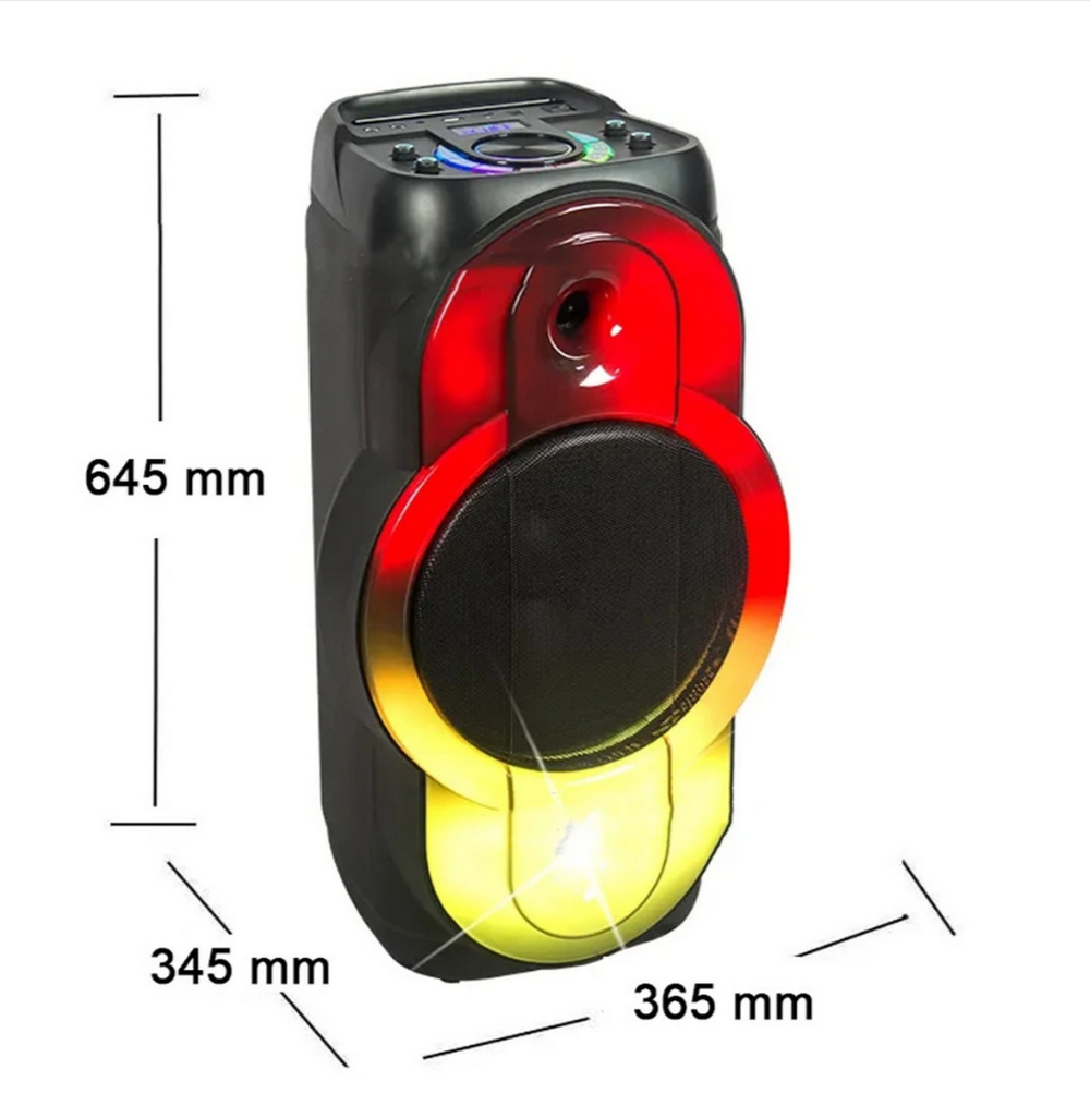 Напольная колонка Sing-e ZQS-12119 (12"40W/+беспр.мик.)