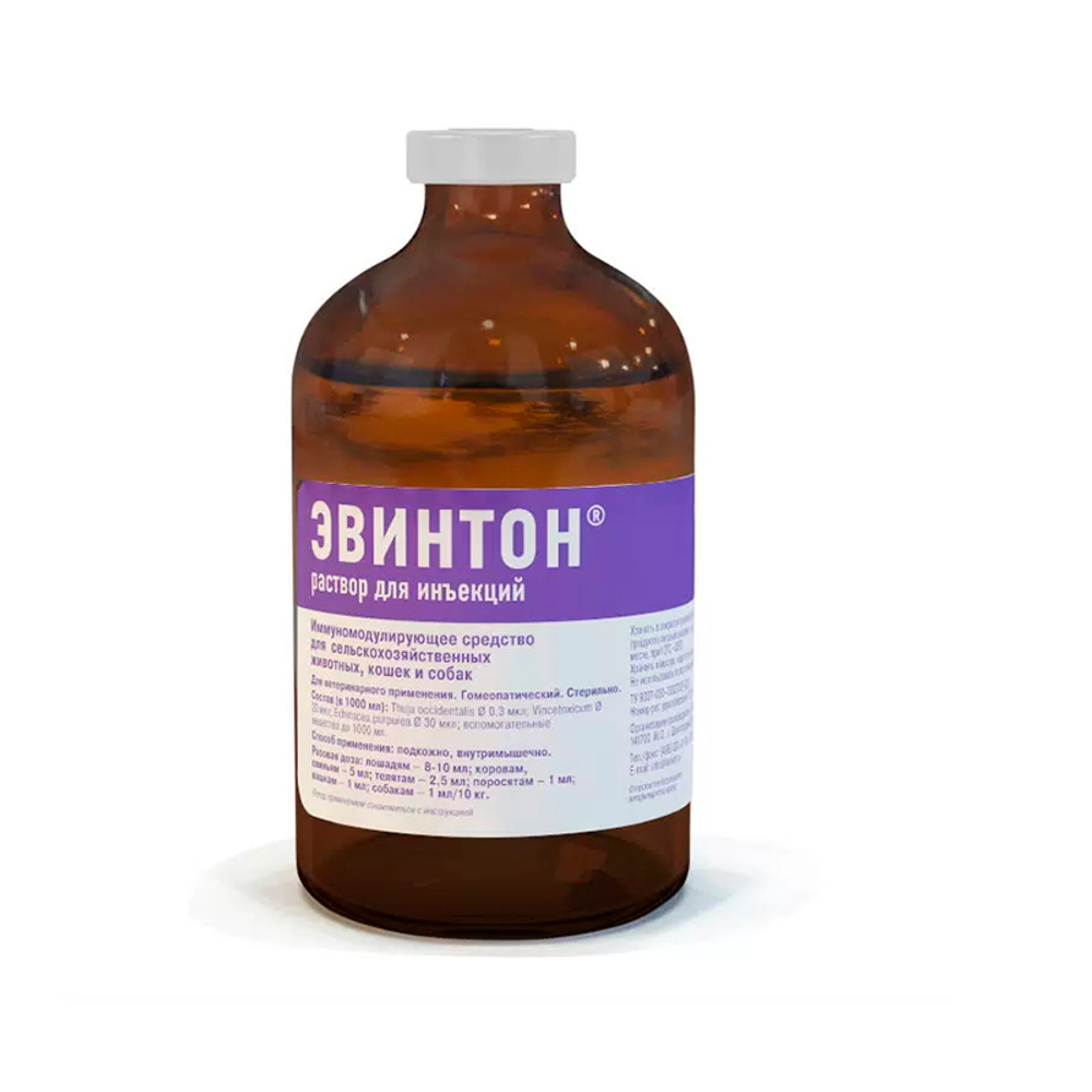 Эвинтон, раствор для инъекций, 100 мл