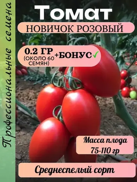 Семена Томат Новичок розовый 0.2 гр