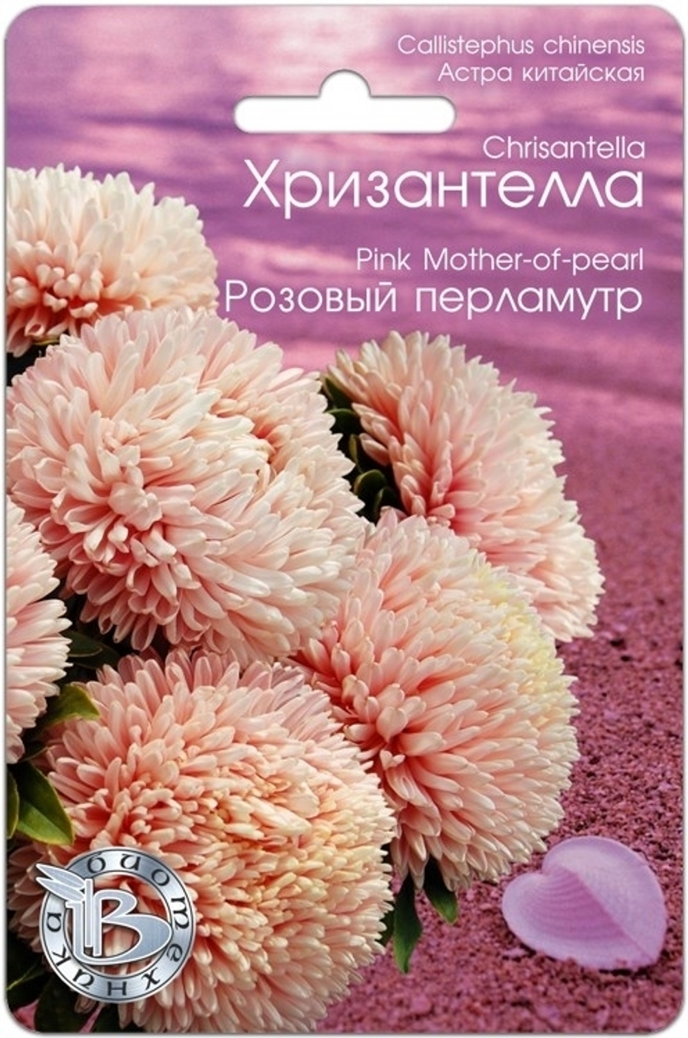 Хризантелла Розовый перламутр