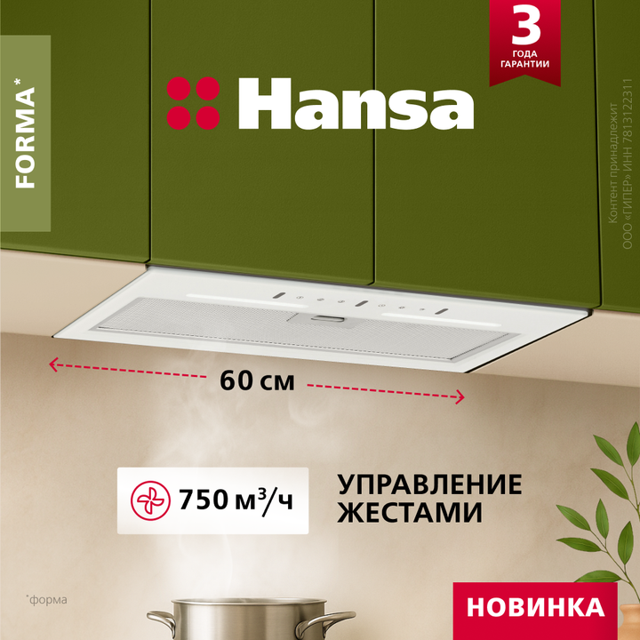 Встраиваемая вытяжка Hansa OMP6502GW
