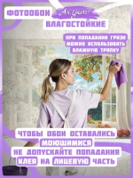 3D фотообои вид из окна и фрукты