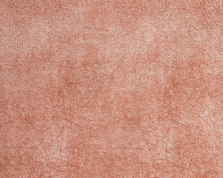 Велюр Columbia coral (Каламбиа корал)