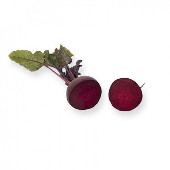 Монти F1 семена свеклы (Rijk Zwaan / Райк Цваан) продукт – фото 2