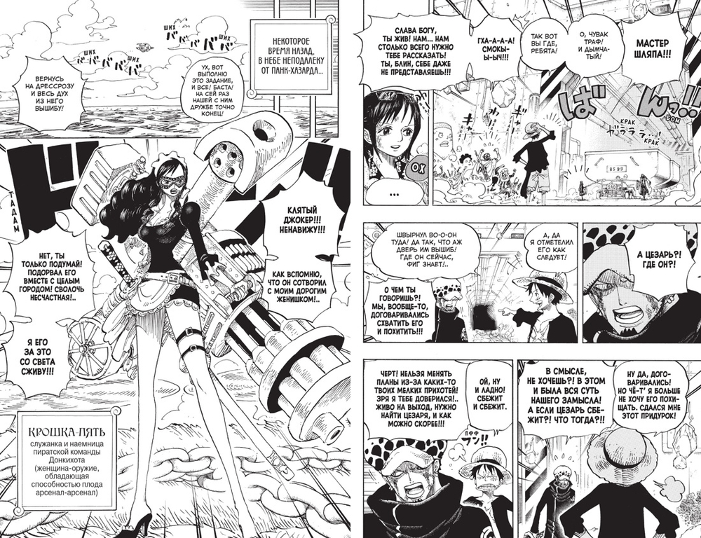 One Piece. Большой куш. Книга 24. Те, кого забыла Дрессроза