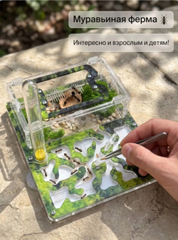 Ферма «Мох» + Колония муравьев «Макси» + Микс корма