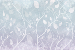 Коллекция Vento