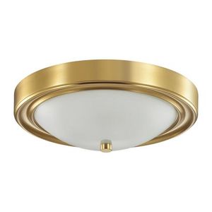 Lumion