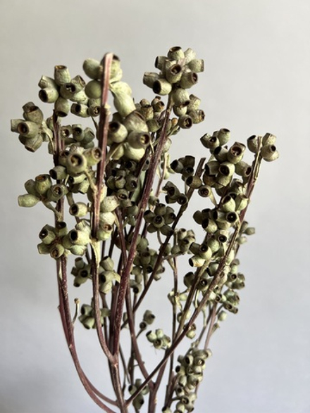 Зомби фрукт плоды