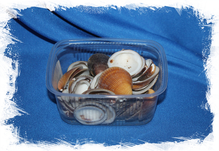 Коричневый коклес, 2-4см, 100гр, 18шт