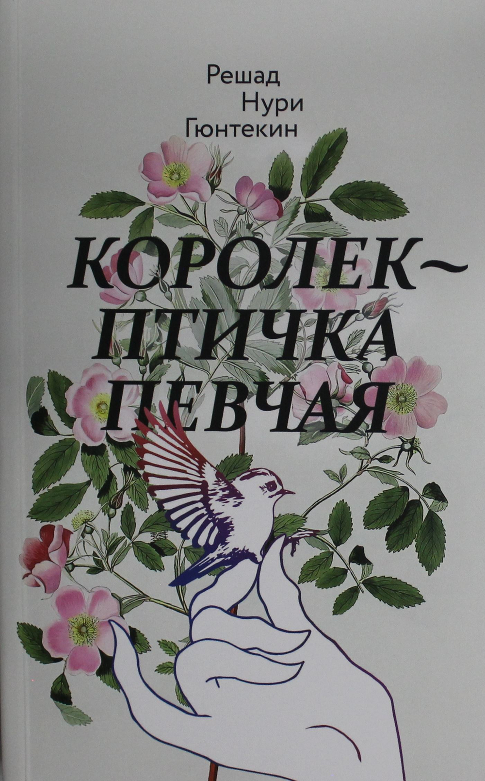 Королек - птичка певчая