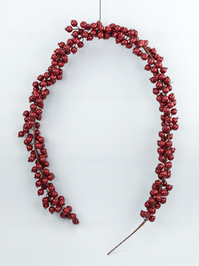 Лиана с гранатами