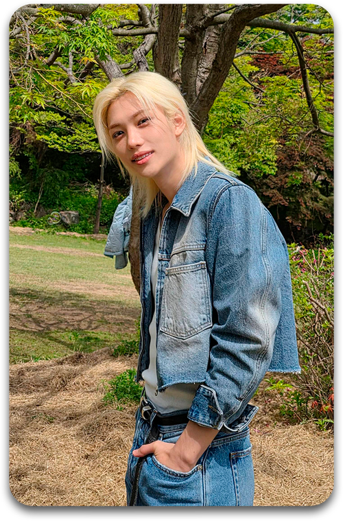 Карта / STRAY KIDS #3771