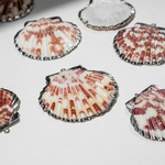 Подвеска из натуральной ракушки, украшенная родием, 45-54*42-53мм