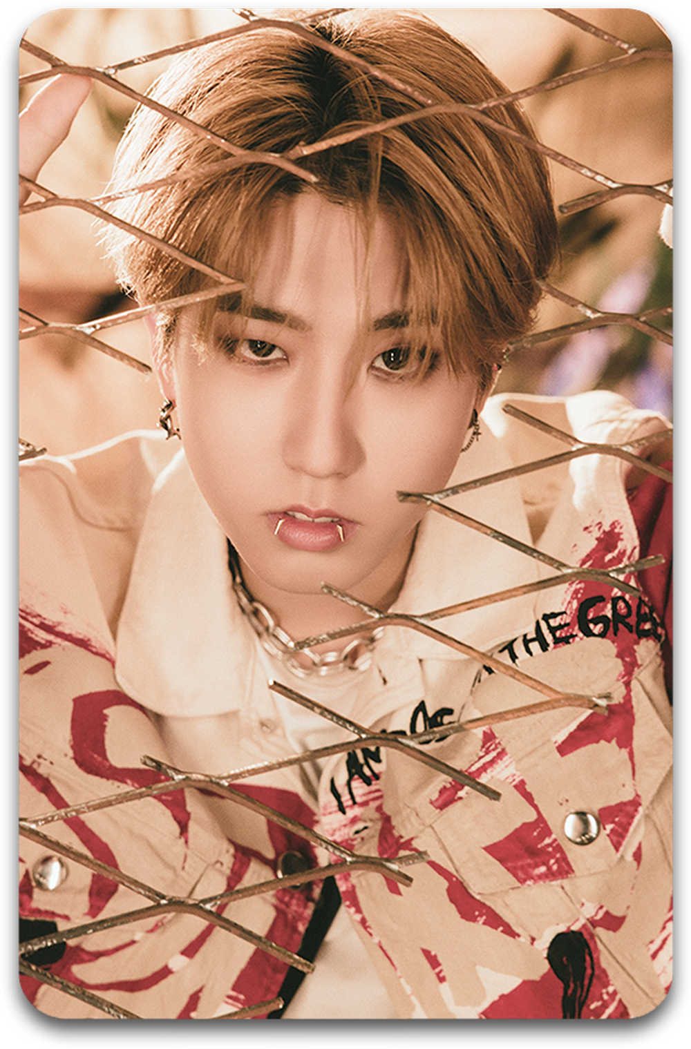 Карта / STRAY KIDS #3027