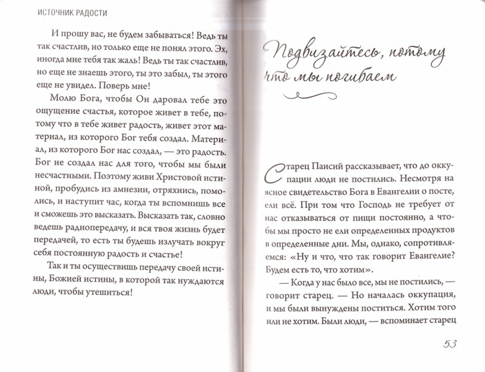 Источник радости. Беседы о Церкви и священстве