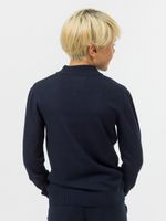 Джемпер поло для мальчика AT116 синий