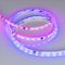 Светодиодная лента Arlight 12W/m 60LED/m 5060SMD разноцветный 5М SPI-SE-B60-10mm 24V 039601