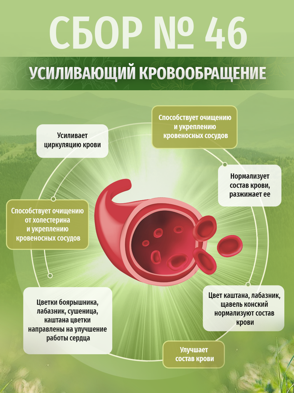 Сбор № 46 Усиливающий кровообращение