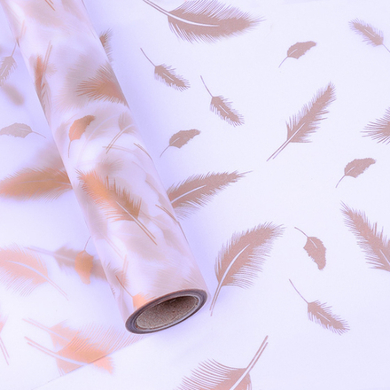Пленка матовая "Перья" 58см*10м