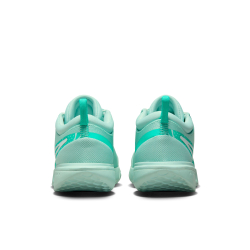 Женские Кроссовки теннисные Nike Zoom Court Pro HC - jade ice/white/clear jade