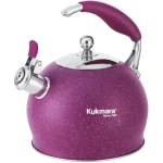 Чайник из нержавеющей стали, со свистком,3л, MYSTERY