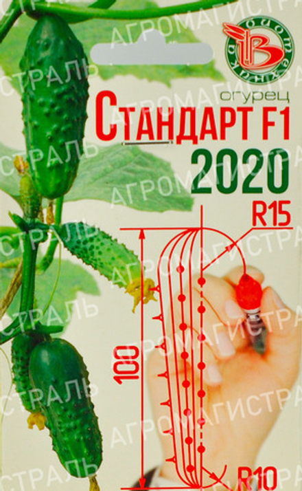 Огурец Стандарт 2020 БиоТехника Ц