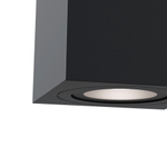 Накладной светильник Maytoni Alfa C017CL-01B