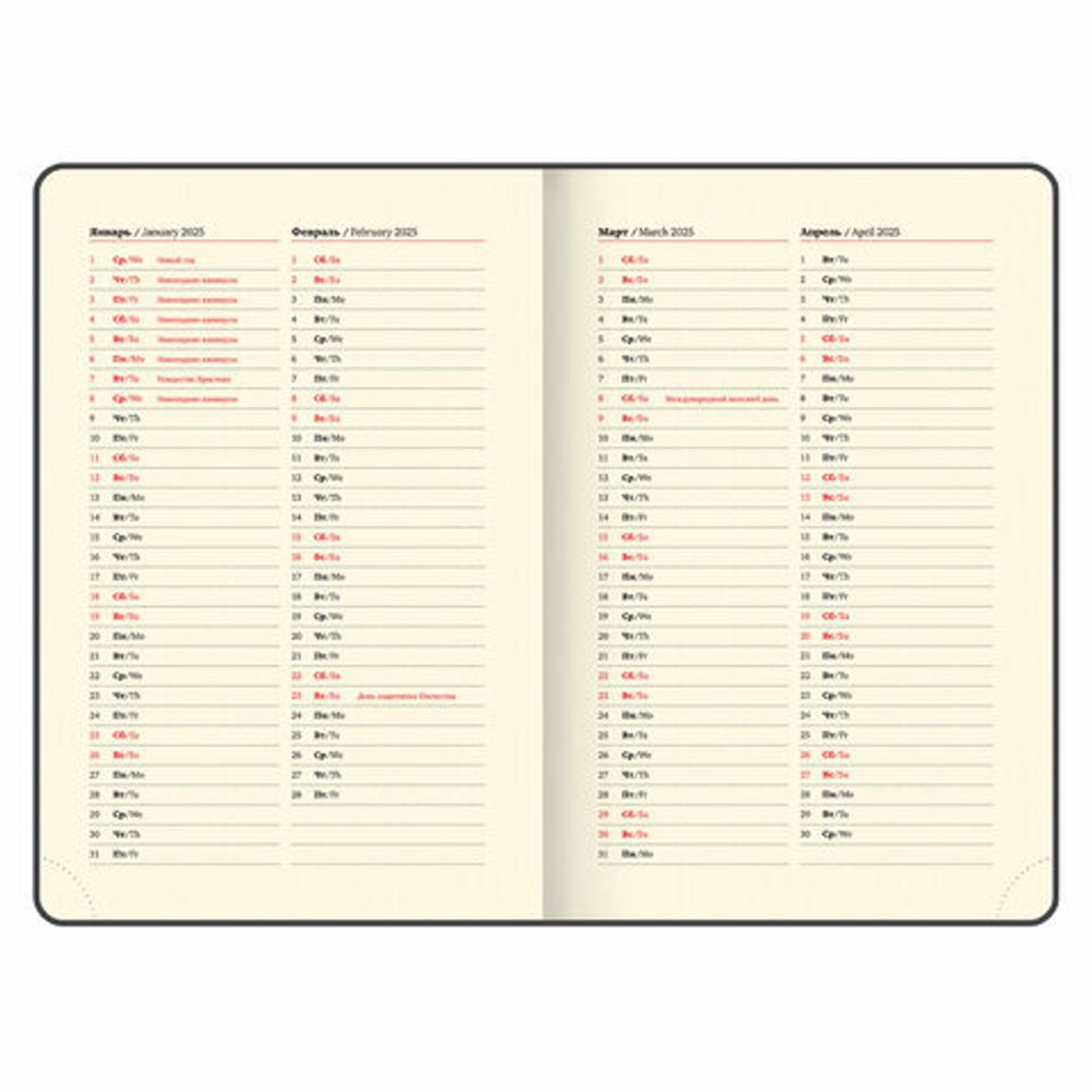 Ежедневник датированный 2025, А5, 138x213 мм, BRAUBERG "Iguana", под кожу, черный, 115779