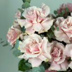 Букет 15 розовых французских роз в шляпной коробке