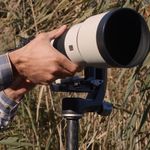 Складная карданная голова карбоновая Benro GH5CMINI