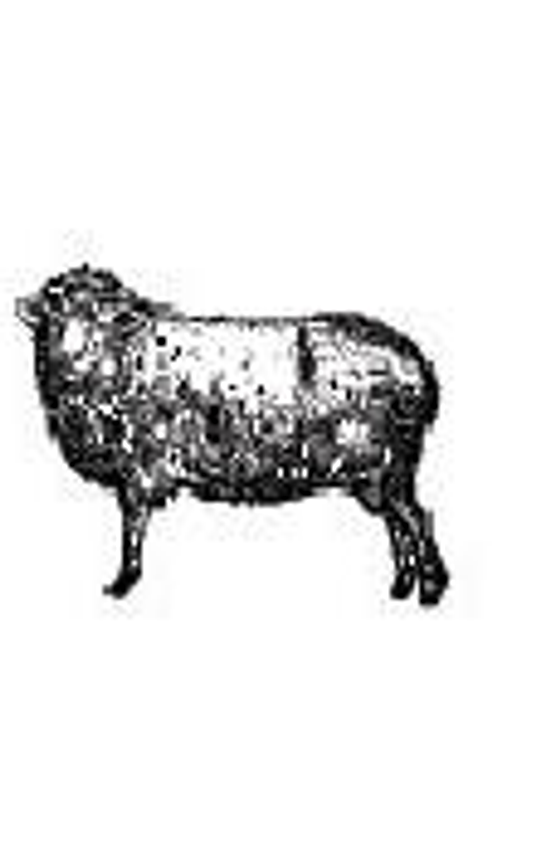 НОСКИ MUND 402 ALTAI