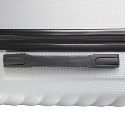 Чемодан PALMA