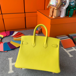 Hermes Birkin 25