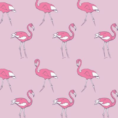 узор с розовым фламинго на розовом фоне.